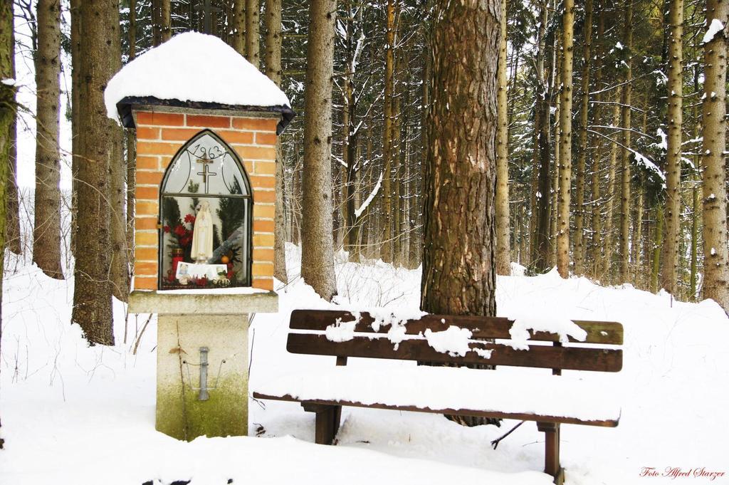 Bio-Bauernhof Haunschmid Villa Ardagger Markt Luaran gambar