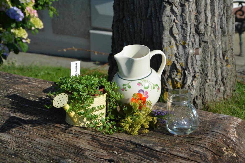 Bio-Bauernhof Haunschmid Villa Ardagger Markt Luaran gambar